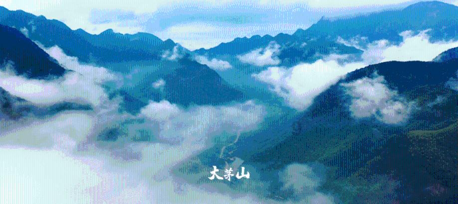 (新春走基层)南京非遗传承人创作龙年剪纸作品迎新春